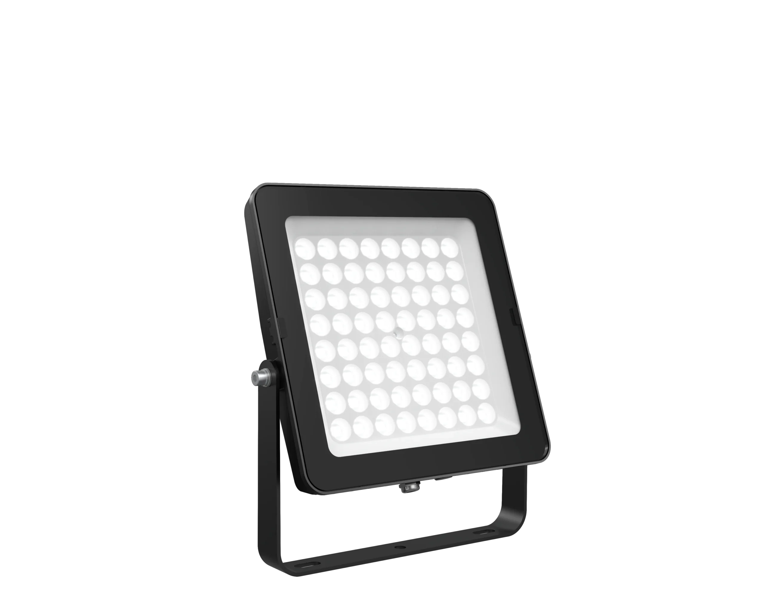 Pure Eco Floodlight 100W