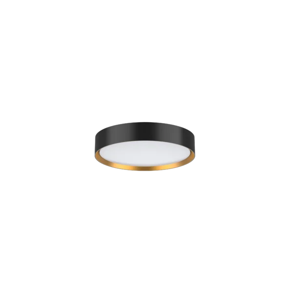 Pure Platinum Oyster Light 18W Gold/Black