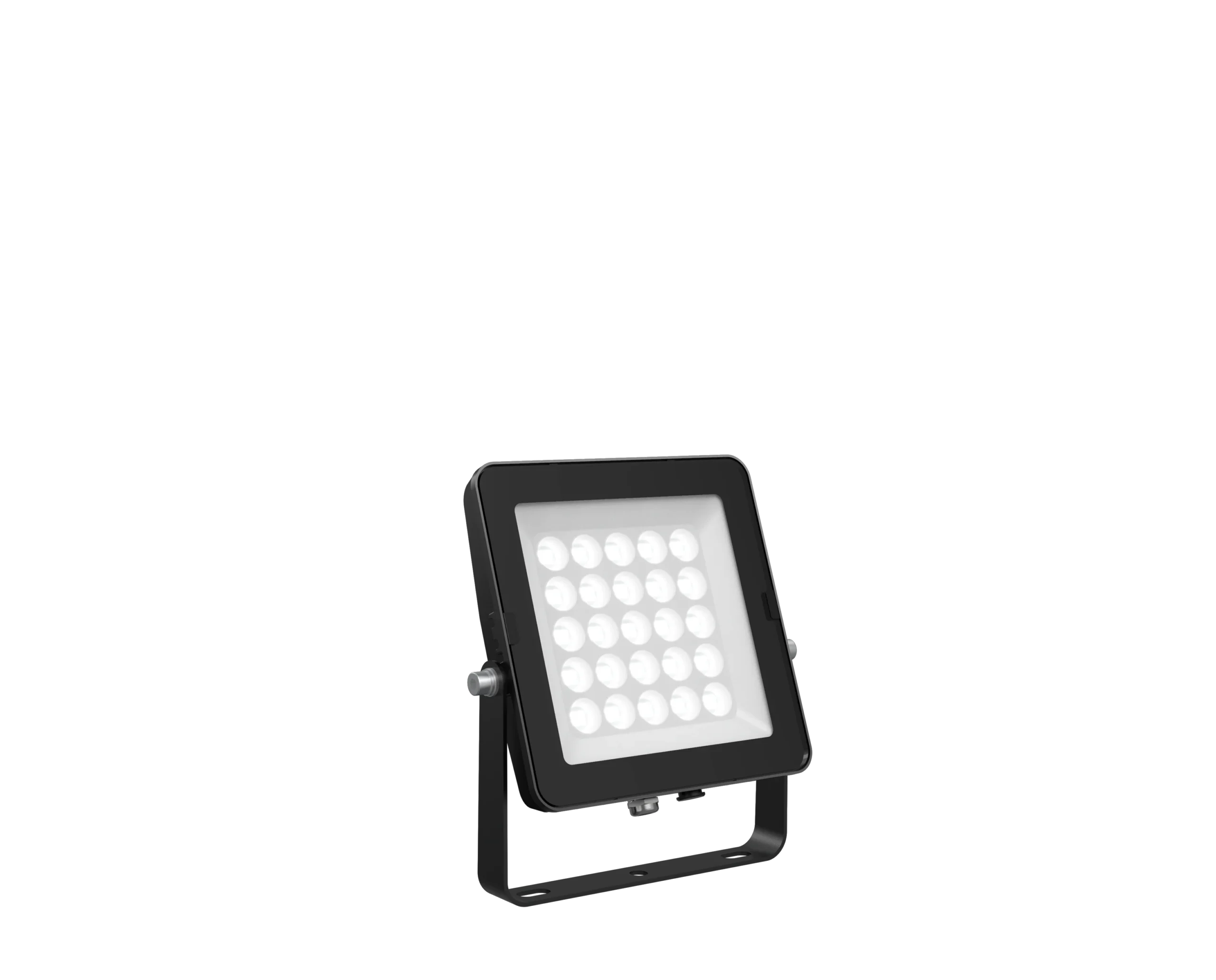 Pure Eco Floodlight 50W