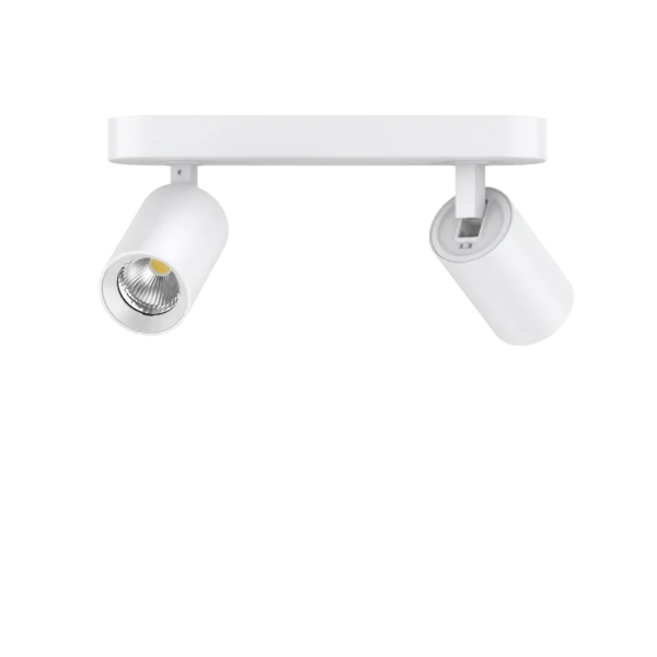 Pure Twin Indoor Spot Light 12W CCT