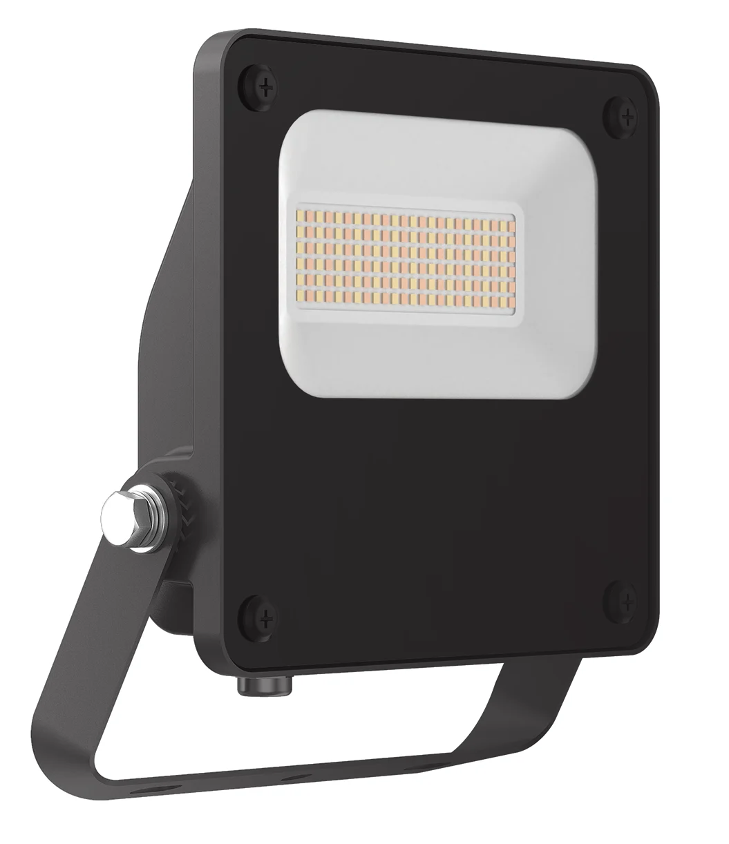 Pure Platinum Floodlight Selectable 25W/50W