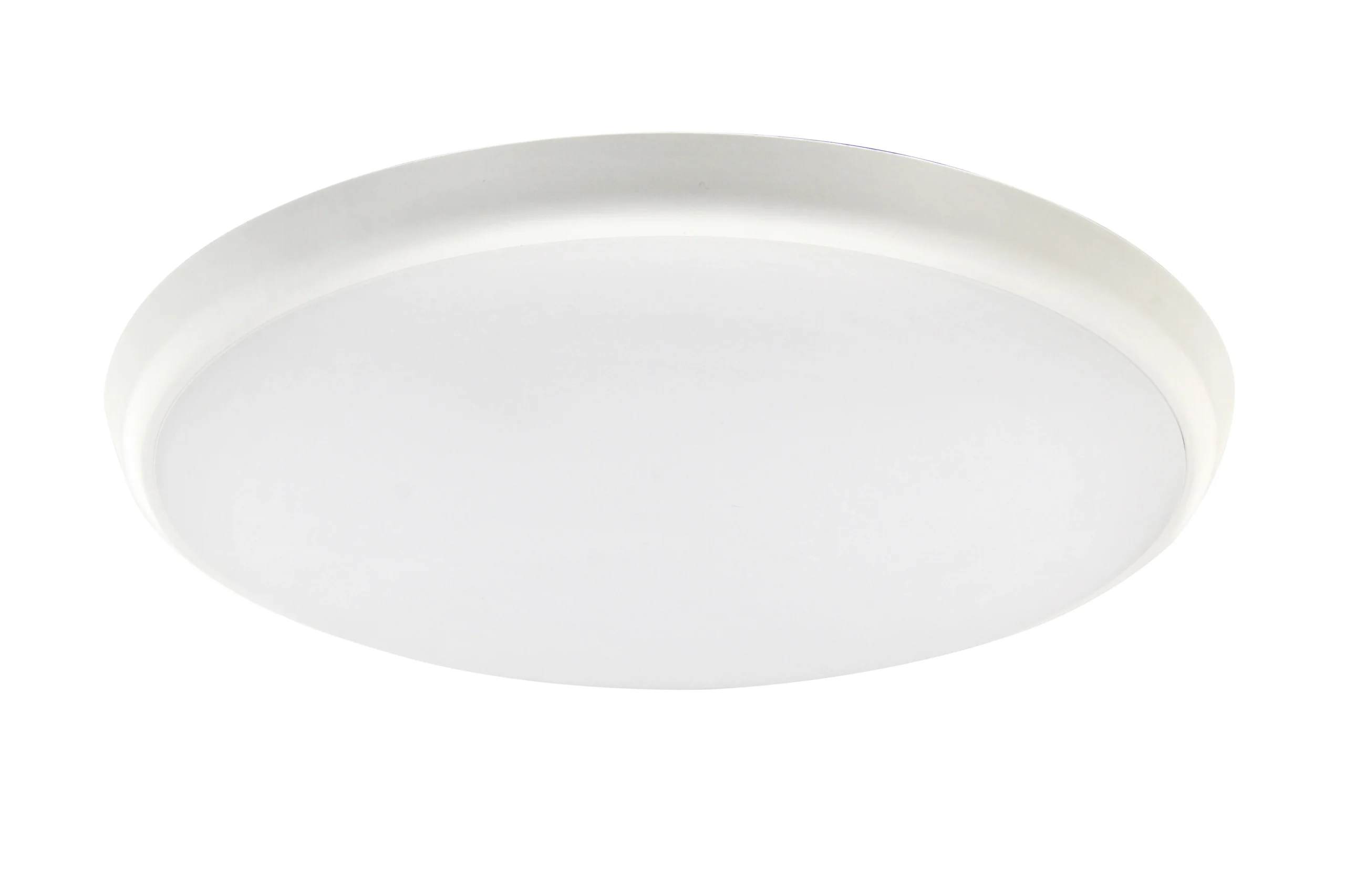 Pure Oyster Light 25W