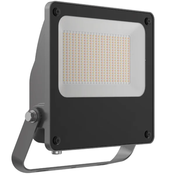 Pure Platinum Floodlight Selectable 100W/150W/200W