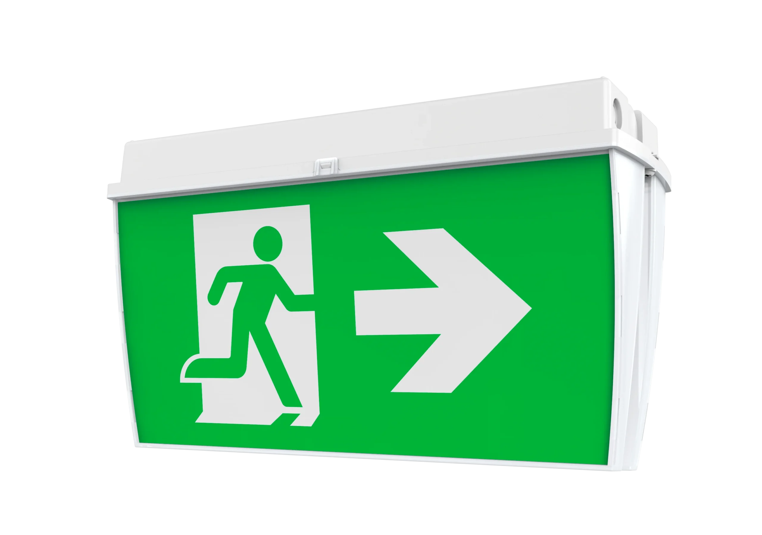 Pure IP Rated Surface Mount Exit Light 24m Double Sided 2W Maintained IP65