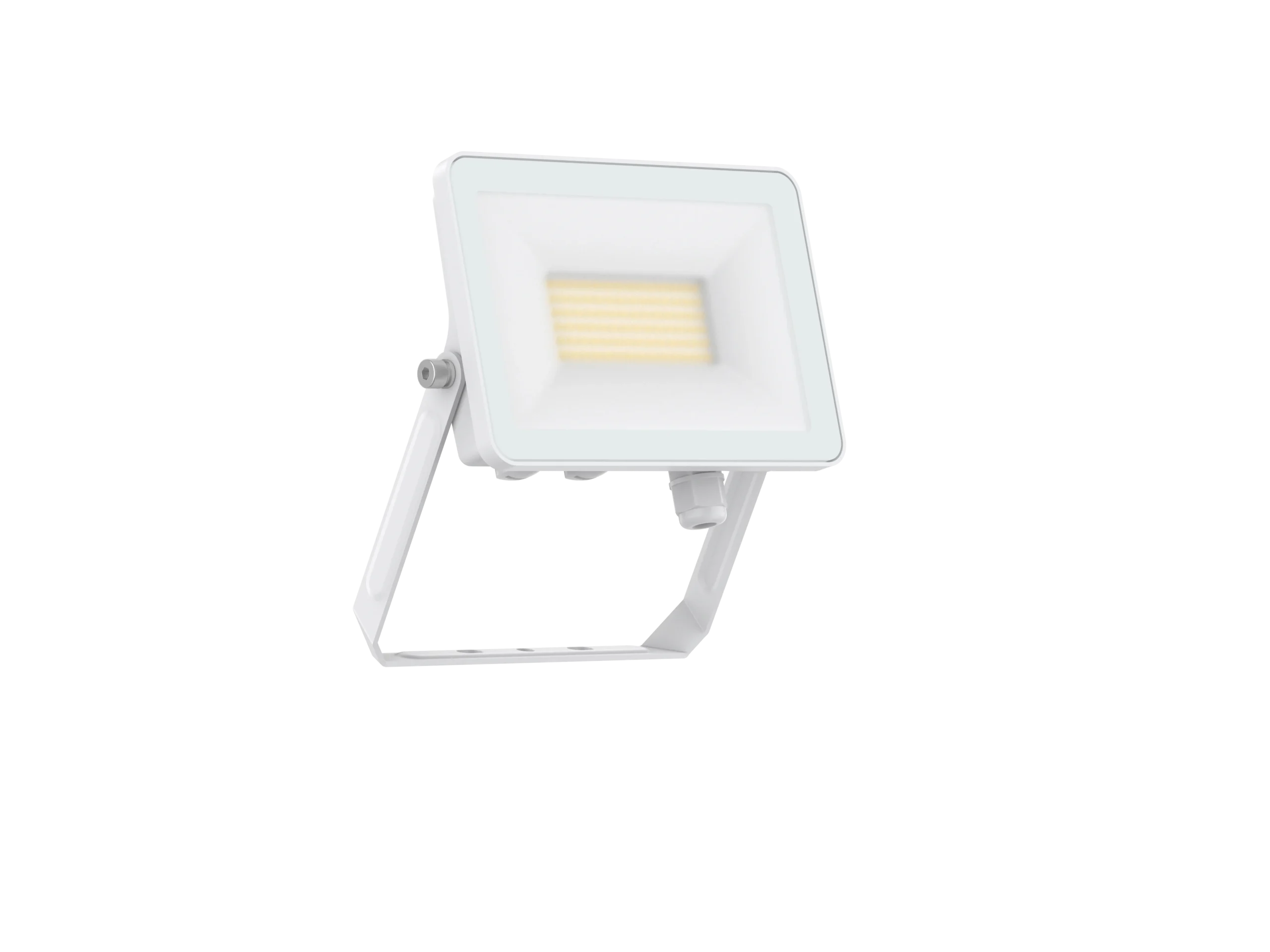 Pure Residential Floodlight 30W