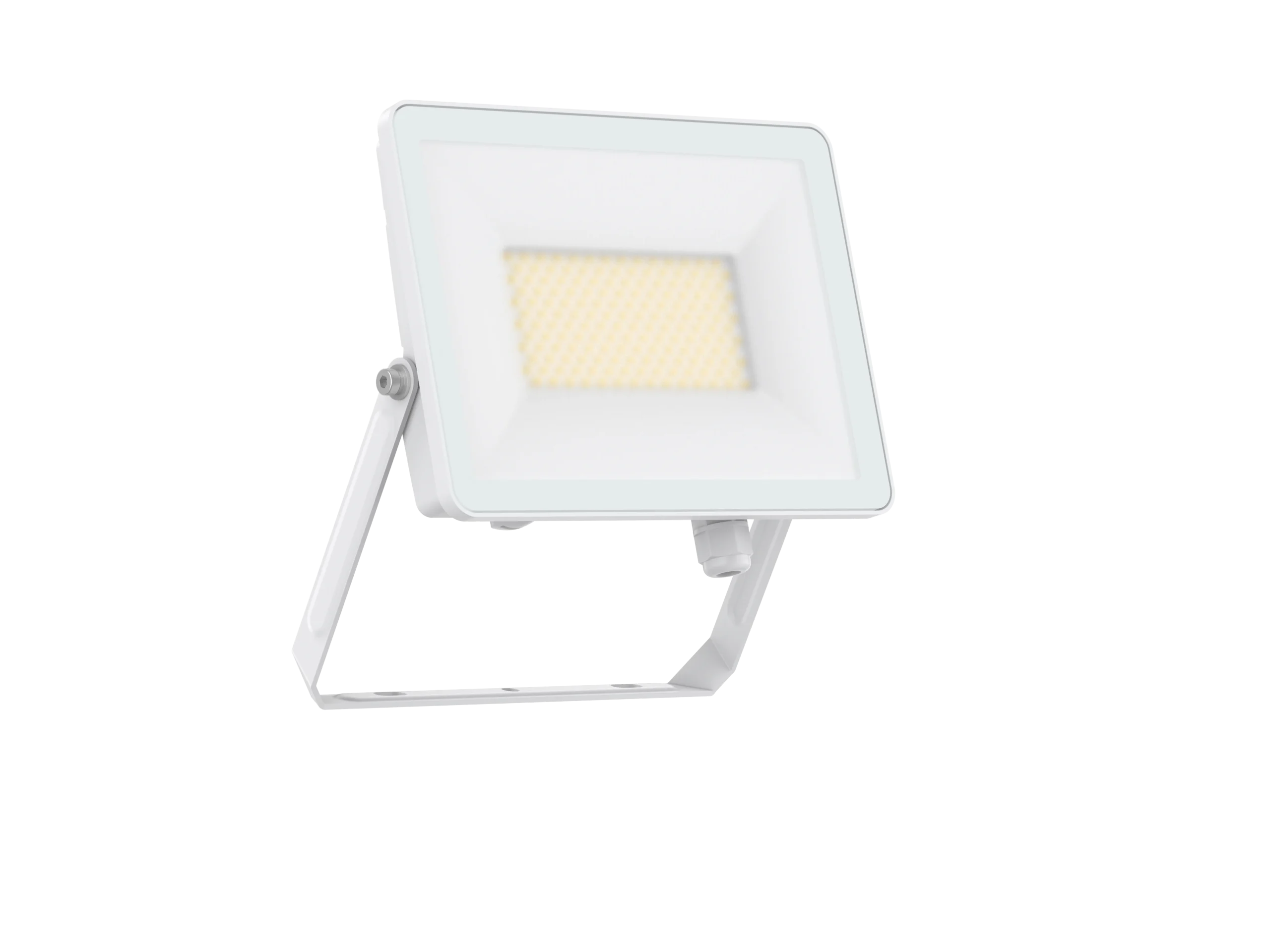 Pure Residential Floodlight 50W