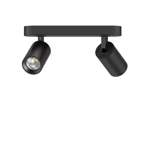 Pure Twin Indoor Spot Light 12W CCT
